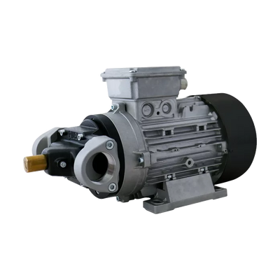 PIUSI Viscomat Gerotor High-flow Electric Oil Transfer Pump