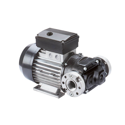 PIUSI E80 Self-Priming Rotary Electric Vane Pump, 70lpm