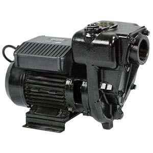 PIUSI E300 240V AC Pump - 300lpm