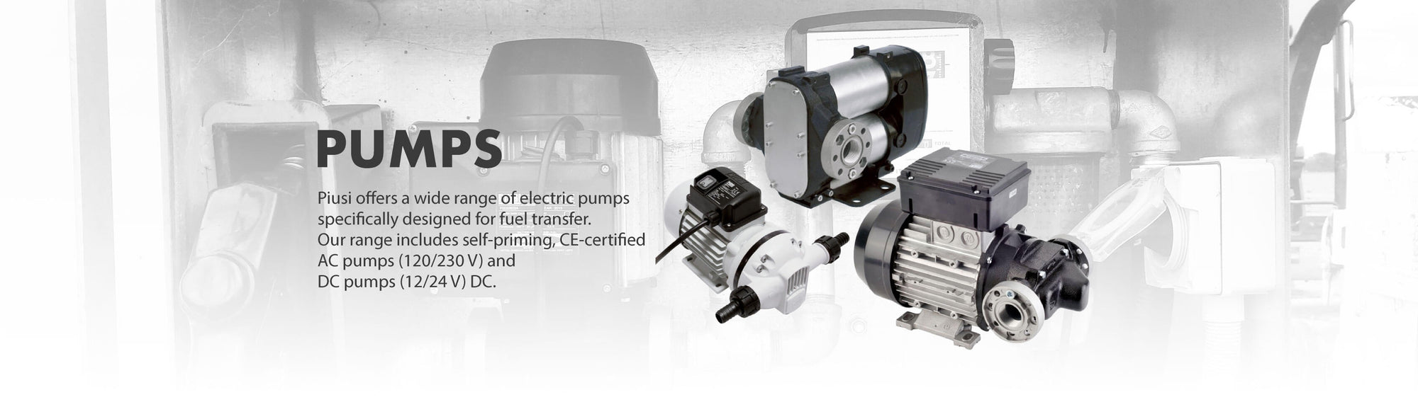 Piusi Transfer Pumps