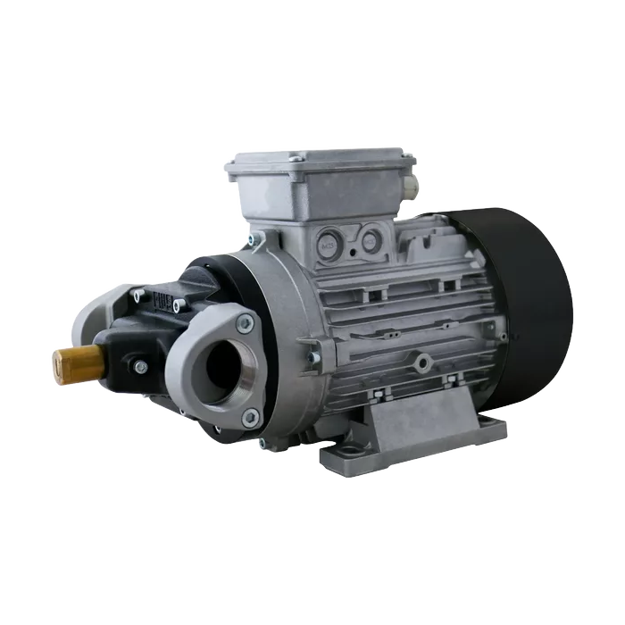 PIUSI Viscomat Gerotor High-flow Electric Oil Transfer Pump